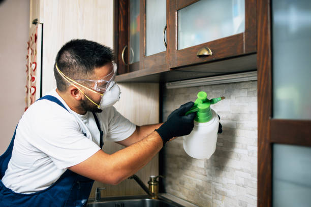 Flea Control Services in Anchor Point, AK