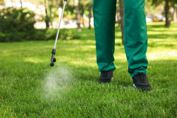 Best Wildlife Control Services  in Anchor Point, AK