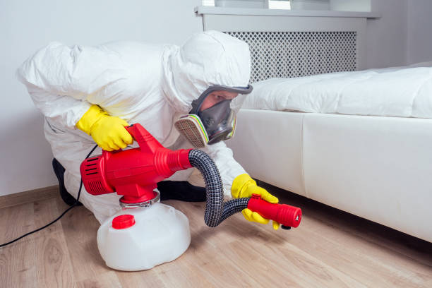 Best Local Pest Control Services  in Anchor Point, AK