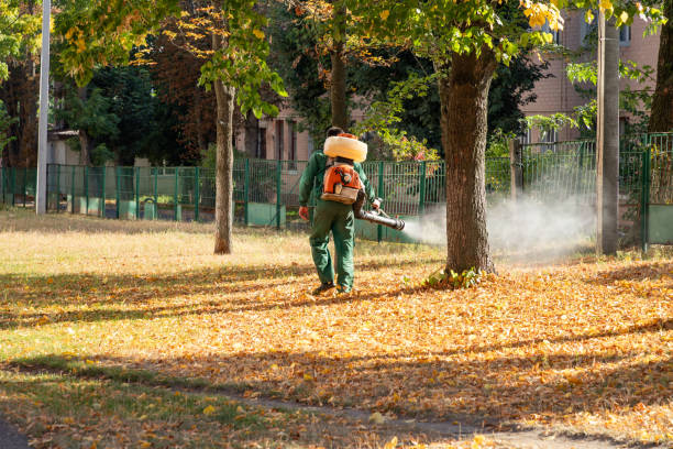 Best Emergency Pest Control  in Anchor Point, AK