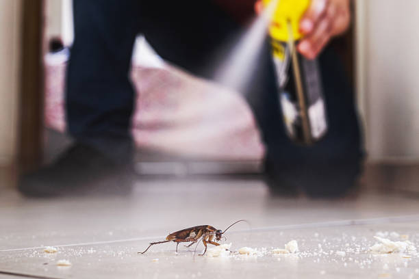 Best Pest Removal Services  in Anchor Point, AK