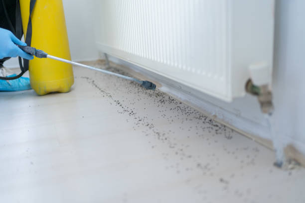 Best Affordable Pest Control Services  in Anchor Point, AK