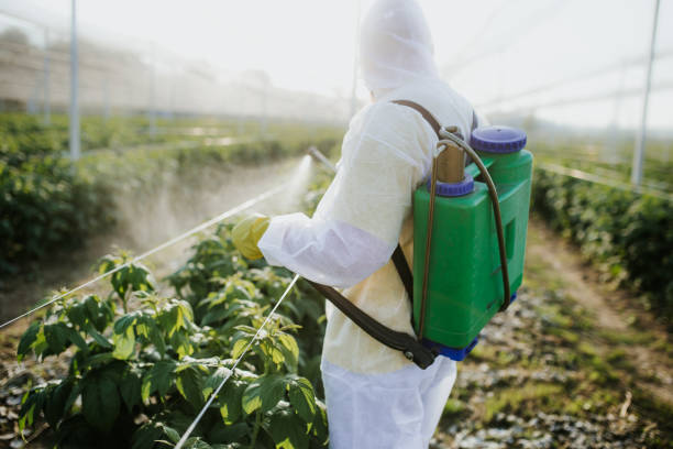 Best Insect Control  in Anchor Point, AK